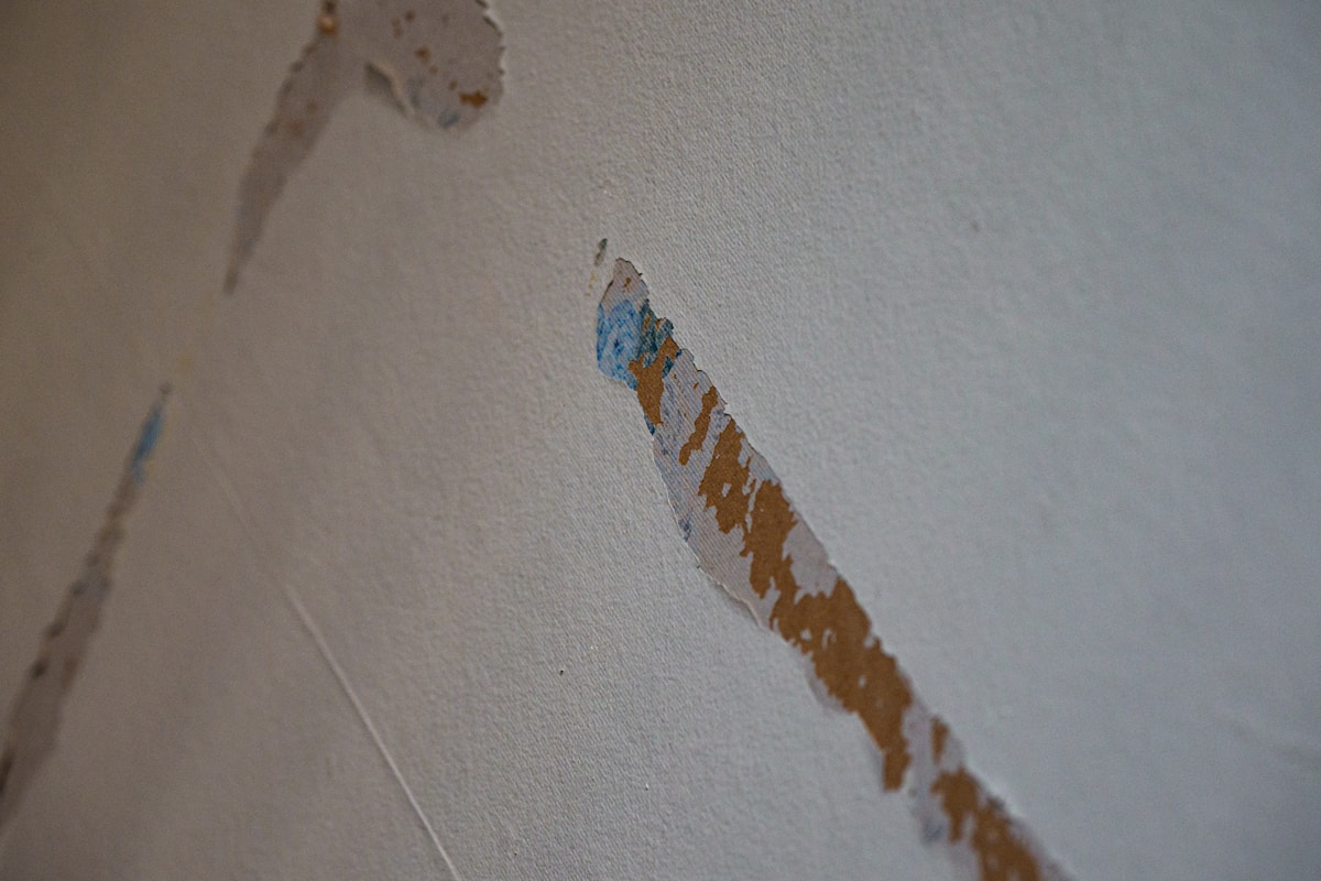 Mold Remediation service in Country Club, FL